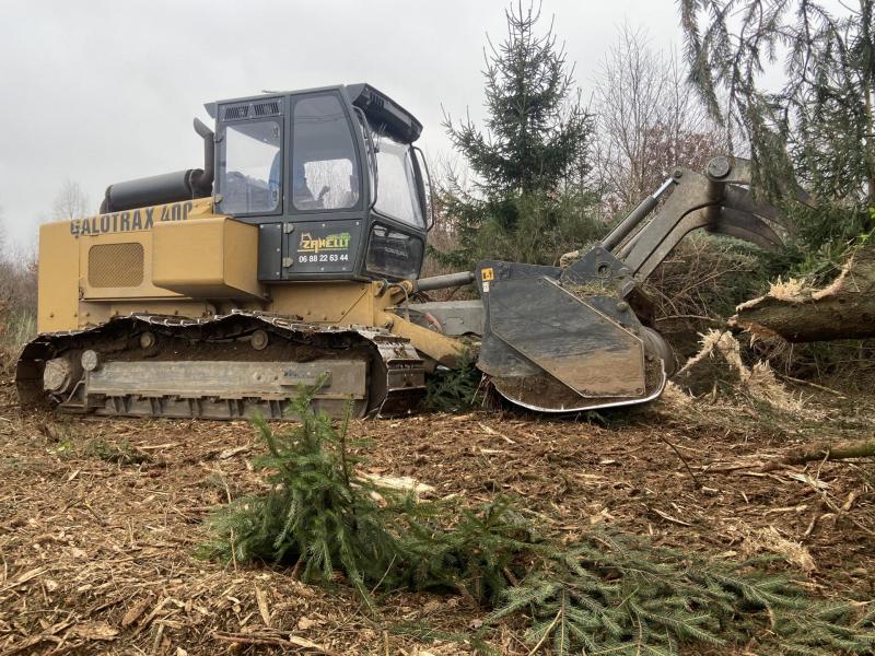 broyage forestier d'1 hectare pour plantation